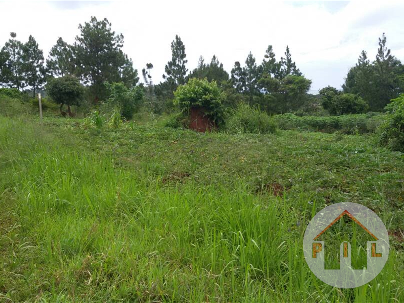 Residential Land for sale in Bugiri Wakiso