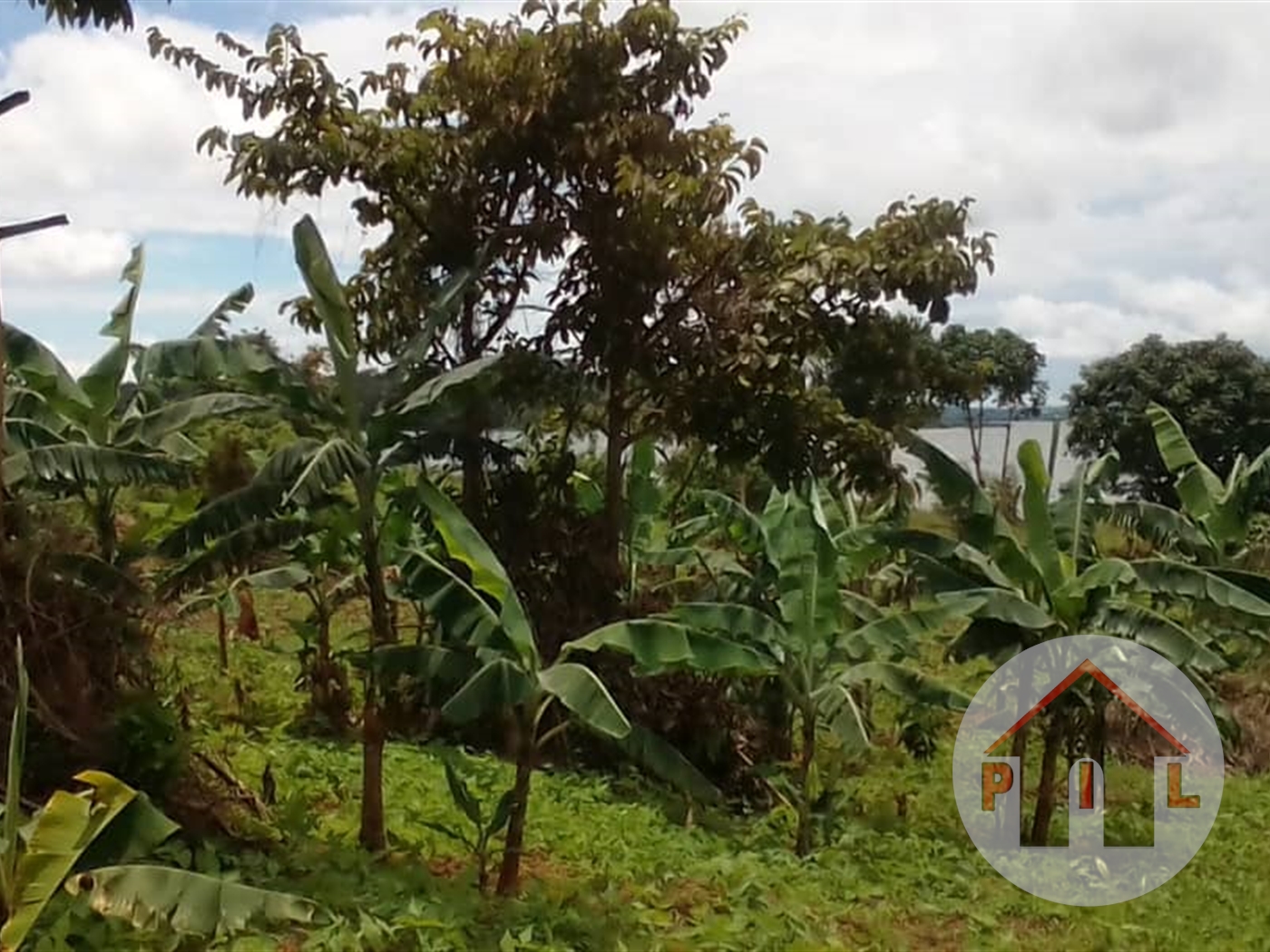 Agricultural Land for sale in Katosi Mukono