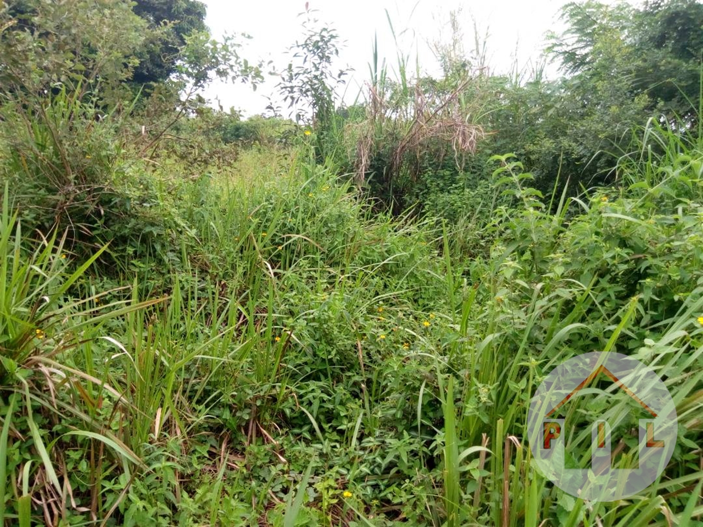 Agricultural Land for sale in Kajjansi Wakiso