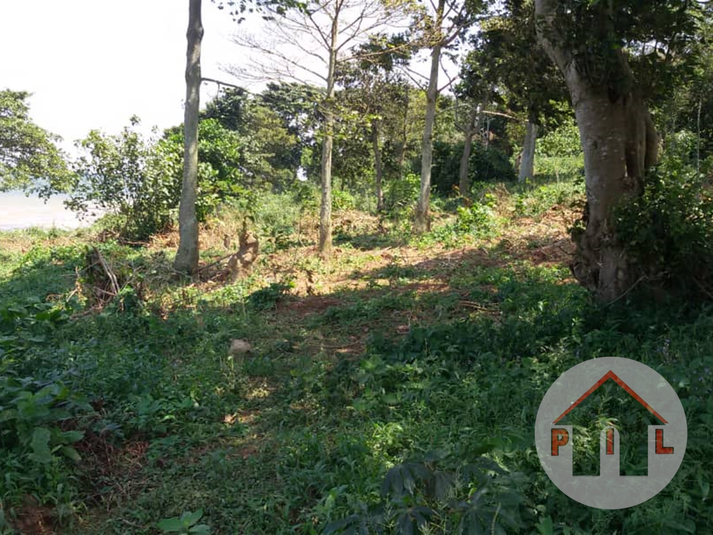 Multipurpose Land for sale in Lutembe Kampala