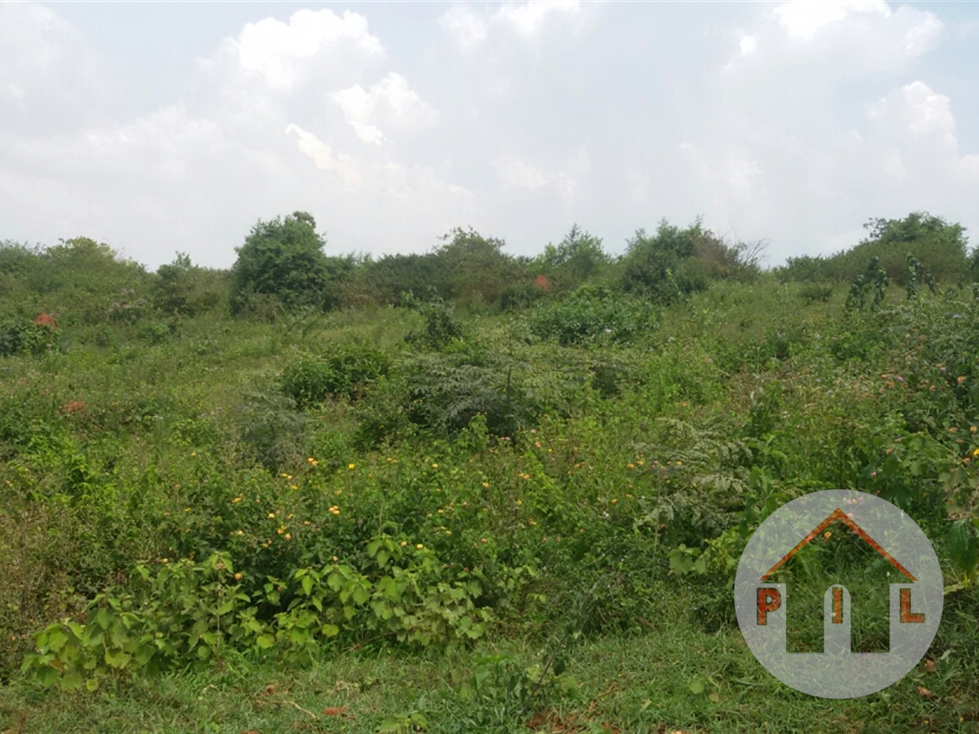 Agricultural Land for sale in Kamila Luweero