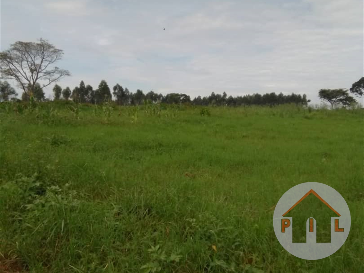 Agricultural Land for sale in Kapeeka Nakaseke