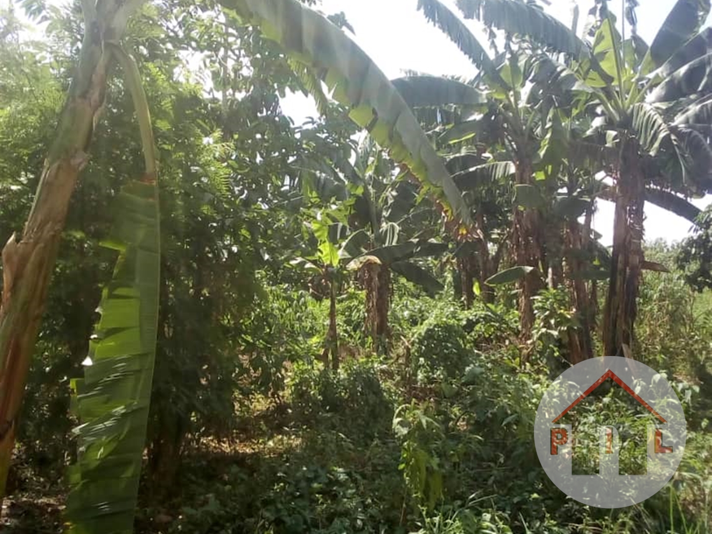 Residential Land for sale in Kokandwa Wakiso