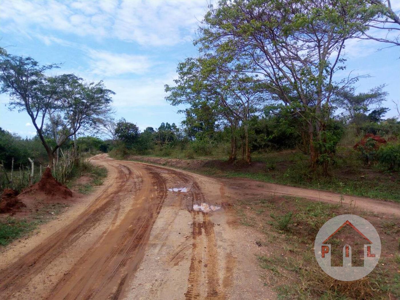 Agricultural Land for sale in Mubende Mubende