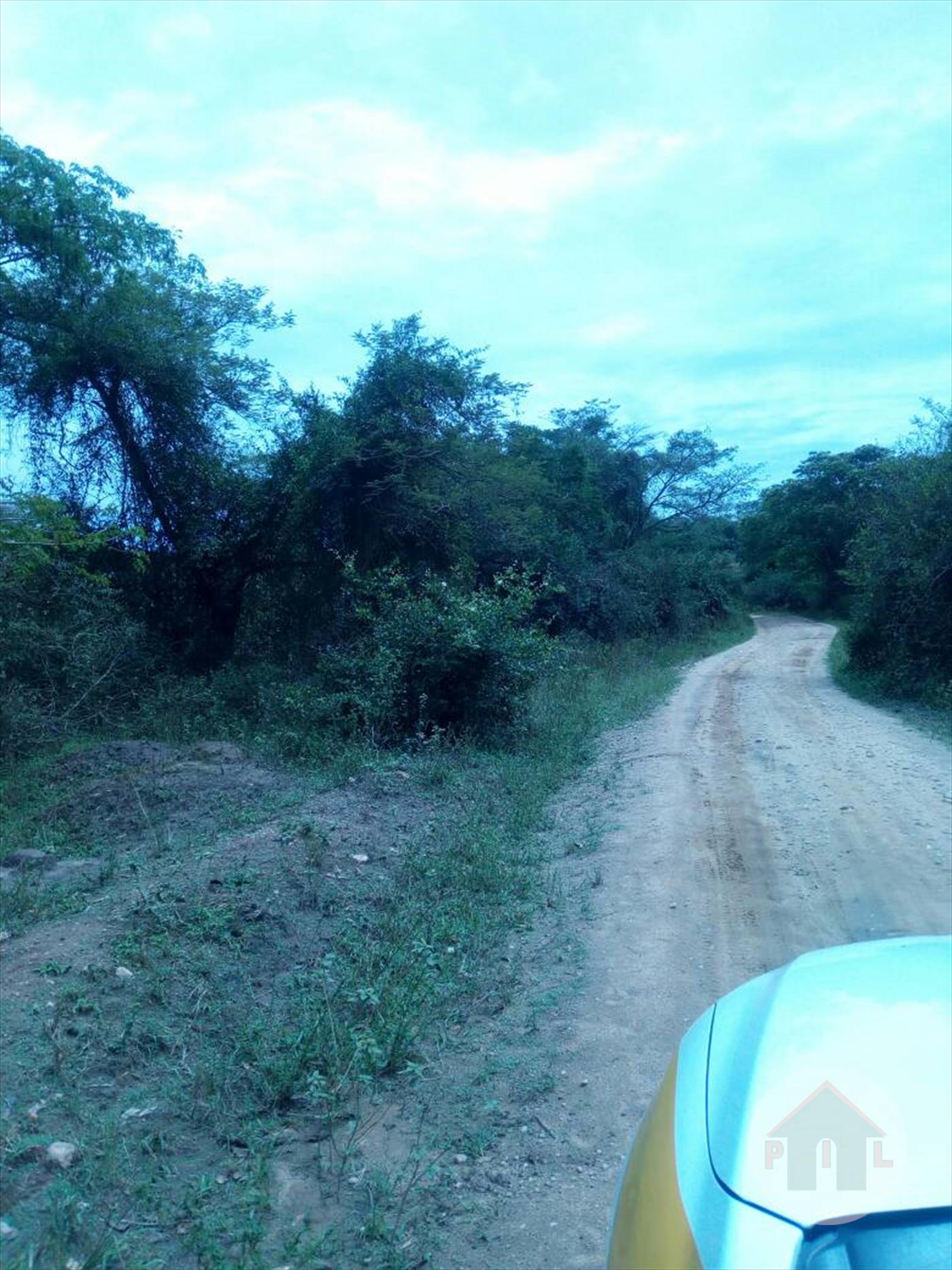 Agricultural Land for sale in Mubende Mubende