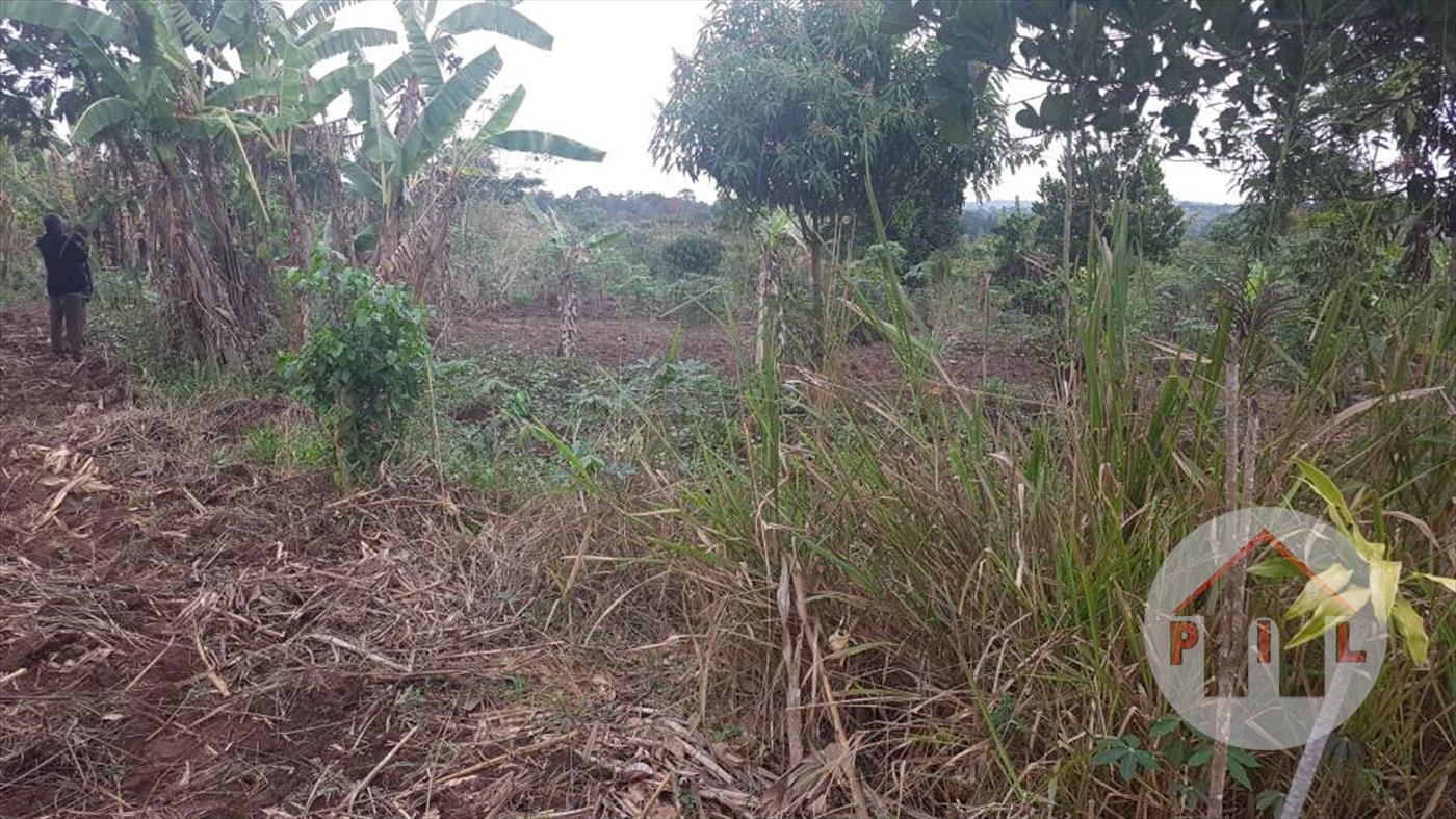 Agricultural Land for sale in Busikiri Wakiso