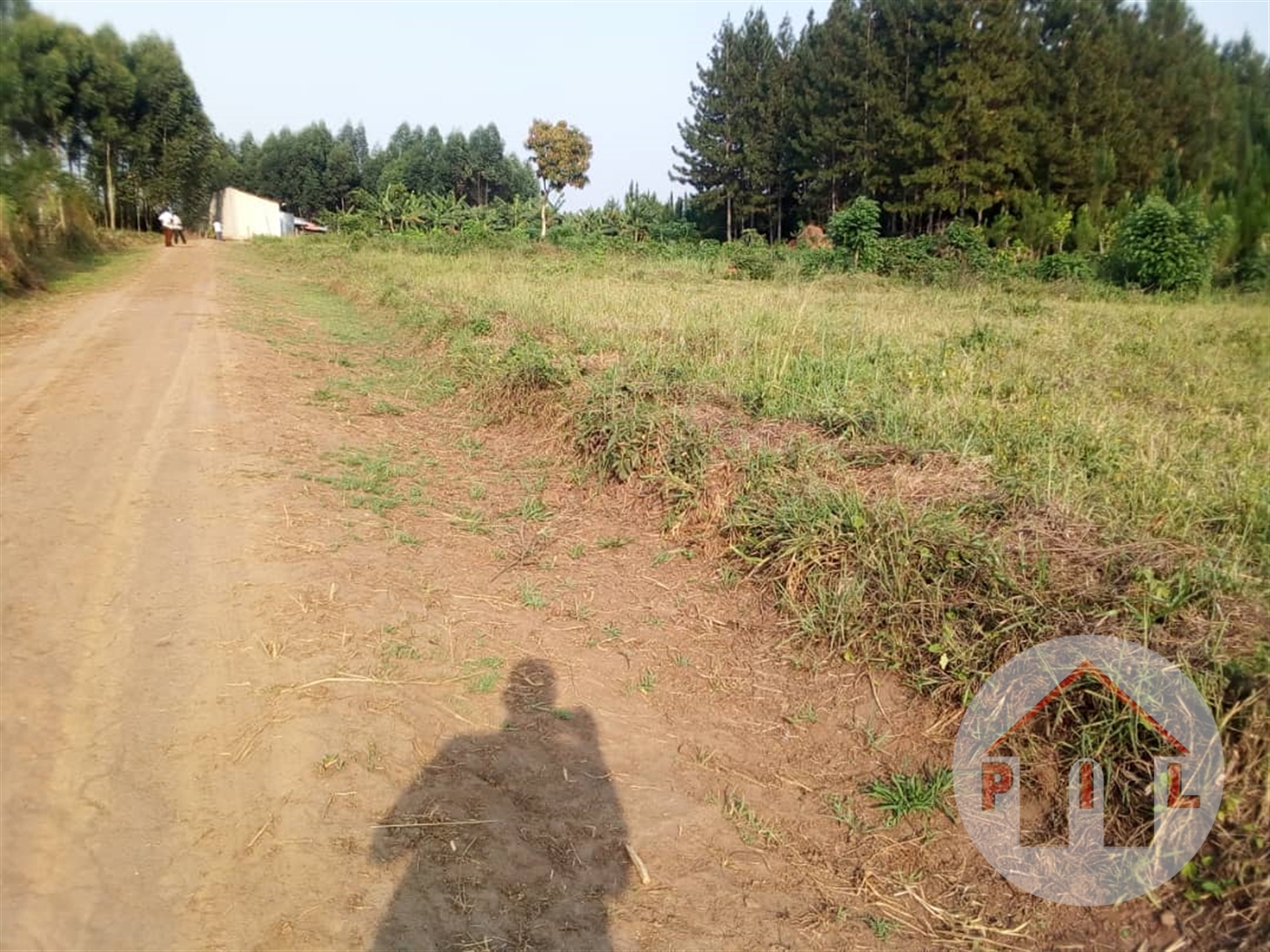 Residential Land for sale in Bujuuko Mityana