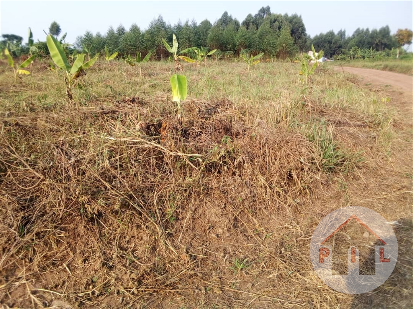 Residential Land for sale in Bujuuko Mityana