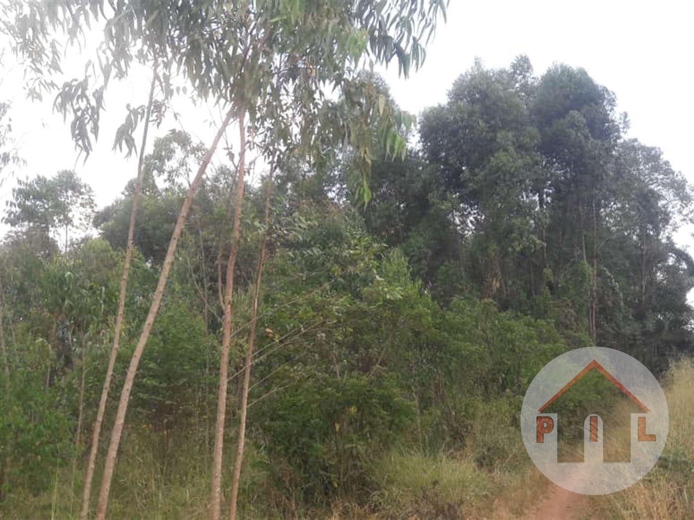 Agricultural Land for sale in Vvumba Wakiso