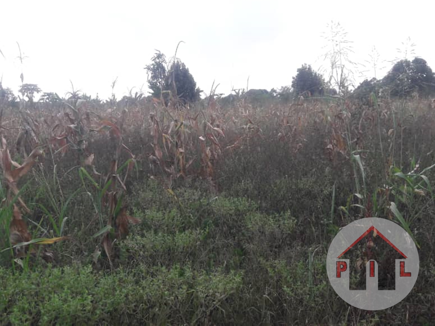 Agricultural Land for sale in Vvumba Wakiso