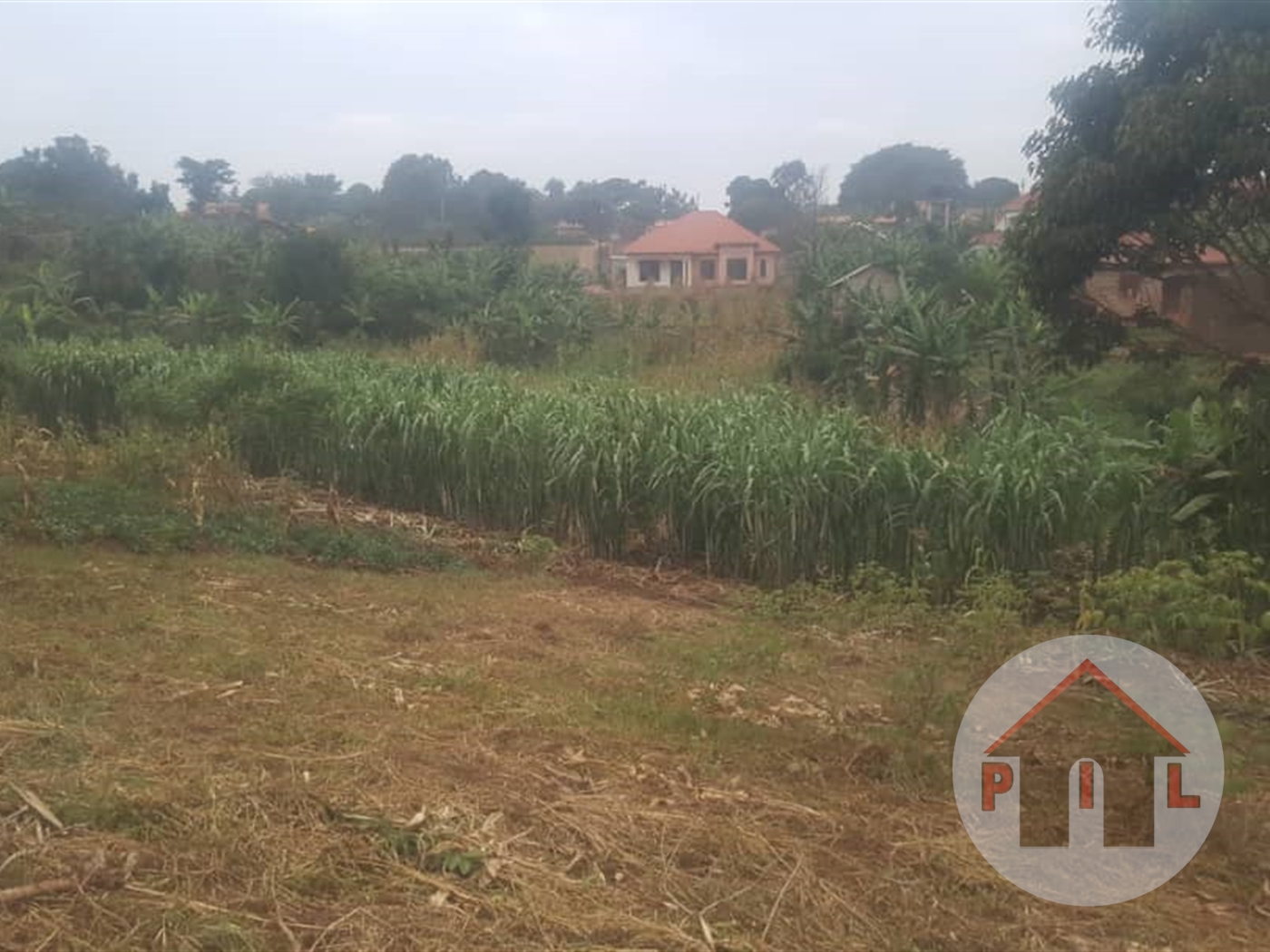 Bungalow for sale in Kiteezi Wakiso