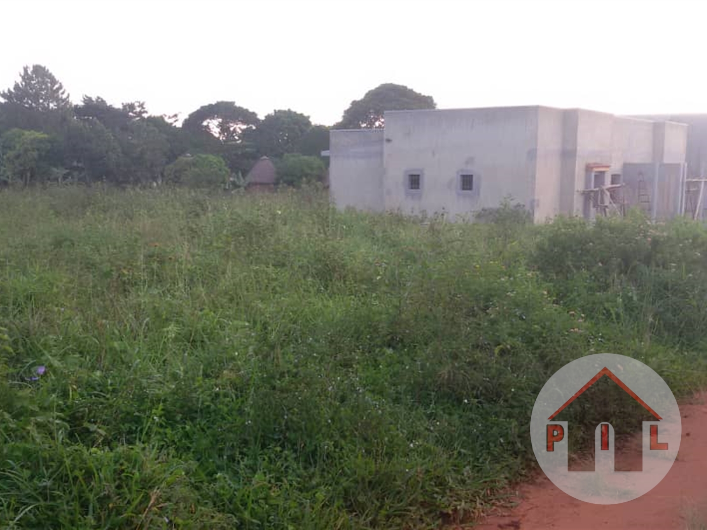 Agricultural Land for sale in Nkumba Wakiso