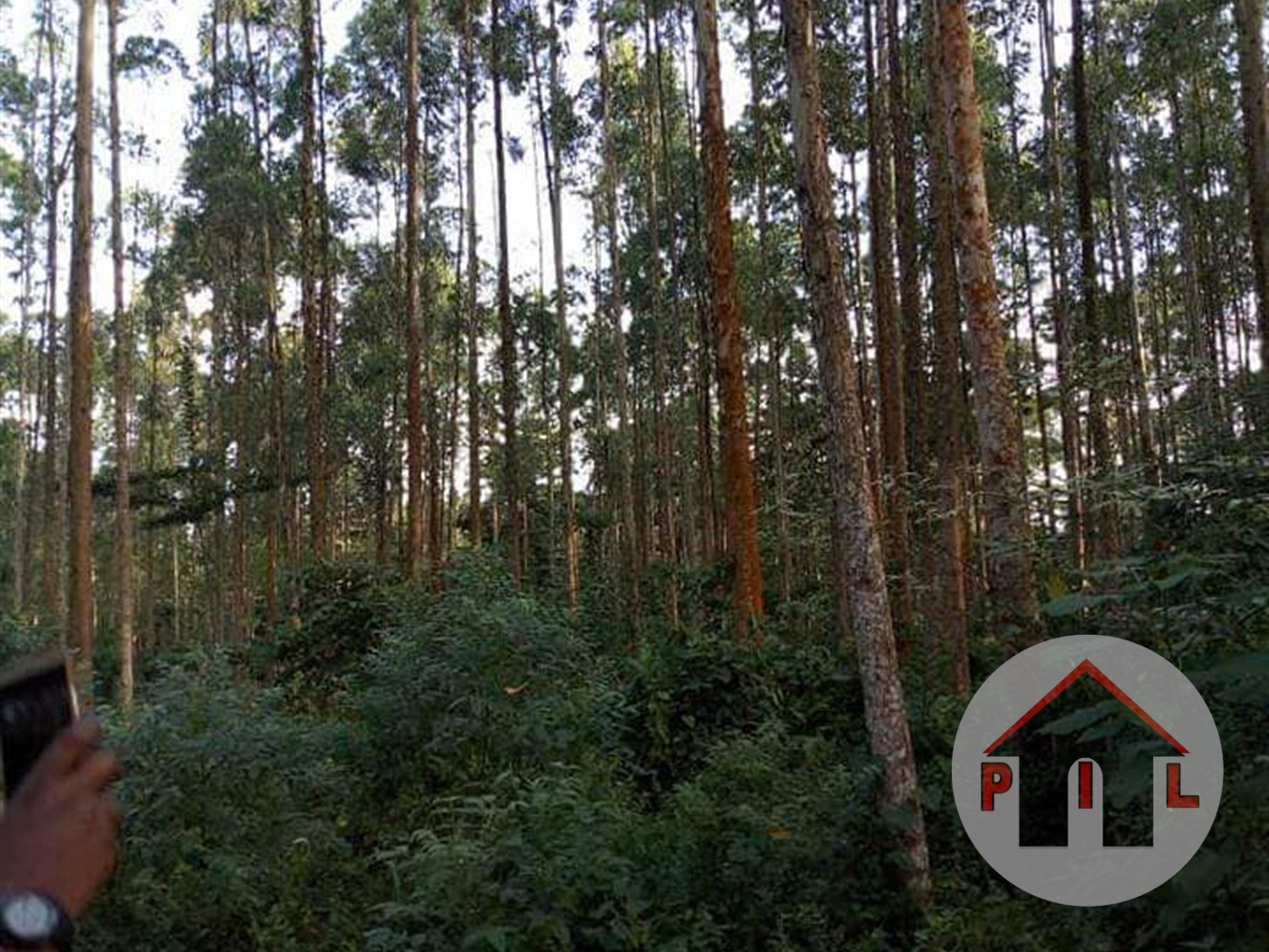 Agricultural Land for sale in Seeta Mukono