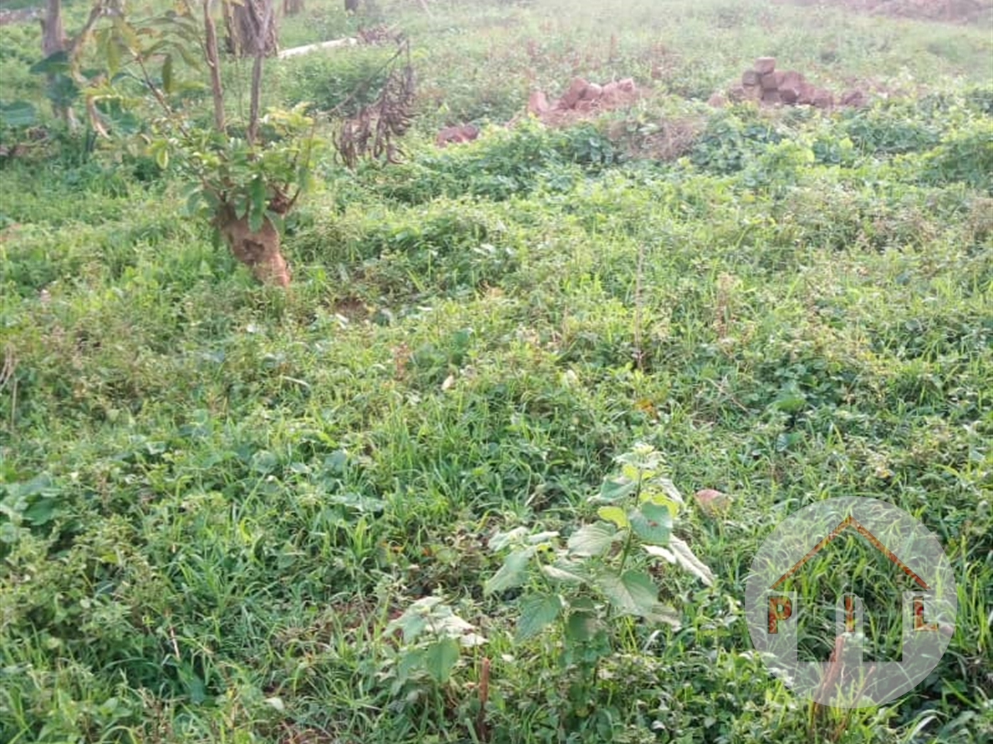 Commercial Land for sale in Kyambogo Kampala