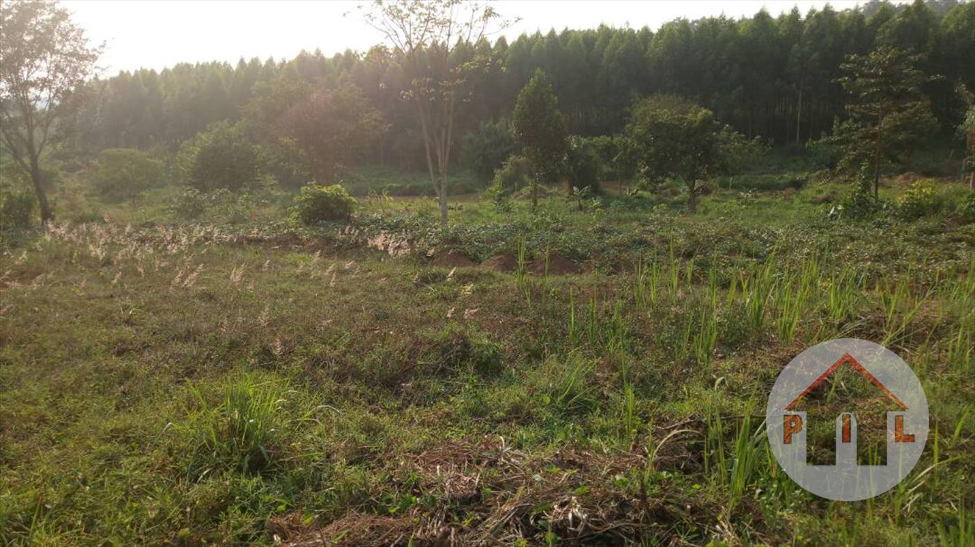 Residential Land for sale in Masooli Wakiso