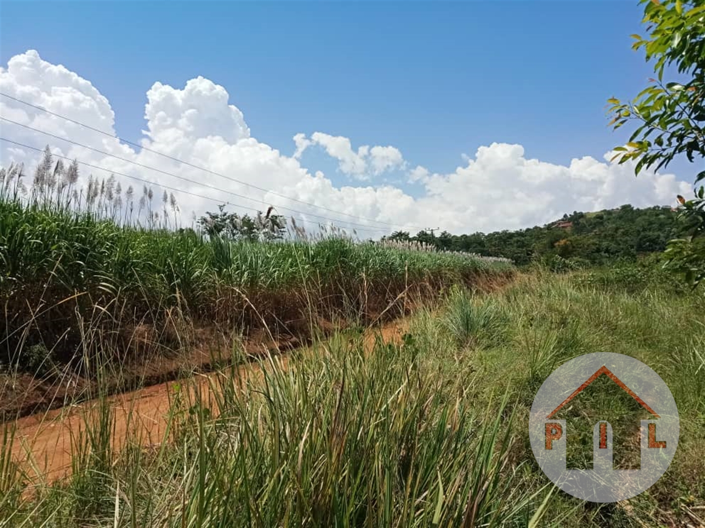 Agricultural Land for sale in Nakawuka Wakiso