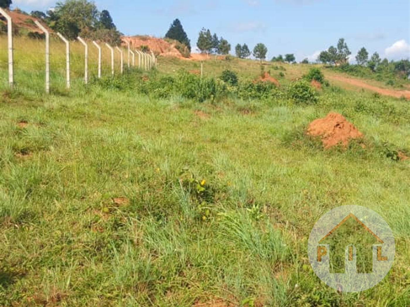 Residential Land for sale in Kasenyi Wakiso