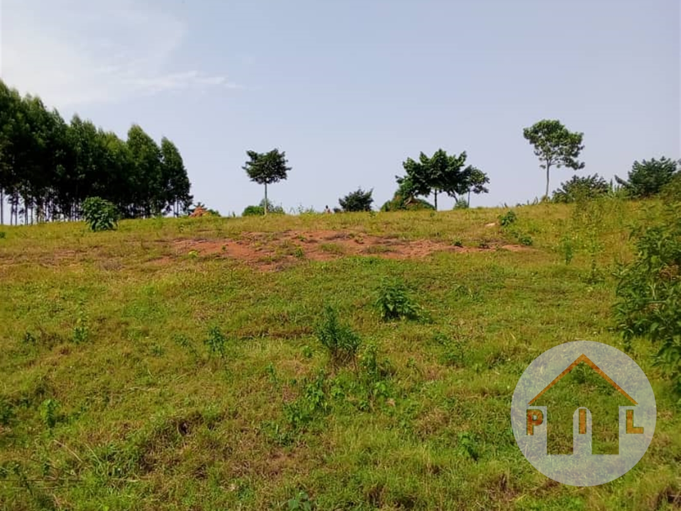 Residential Land for sale in Nalugala Wakiso