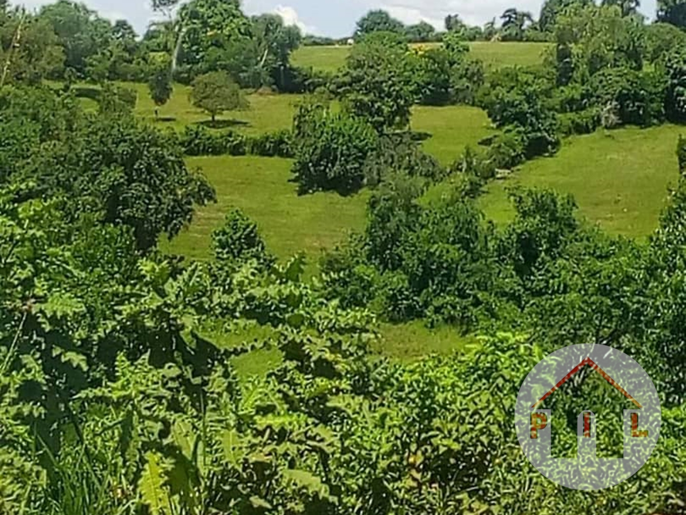 Agricultural Land for sale in Ssisa Wakiso