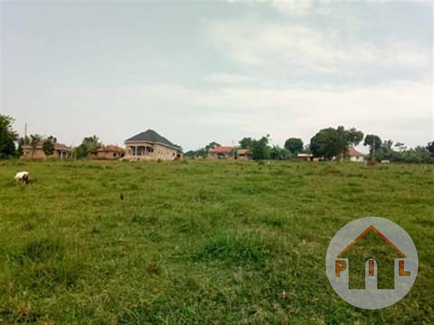 Residential Land for sale in Kasenyi Wakiso