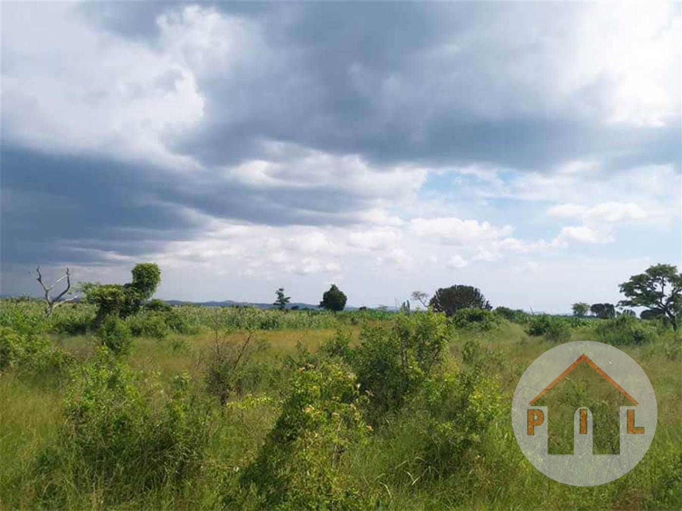 Agricultural Land for sale in Bugonga Wakiso