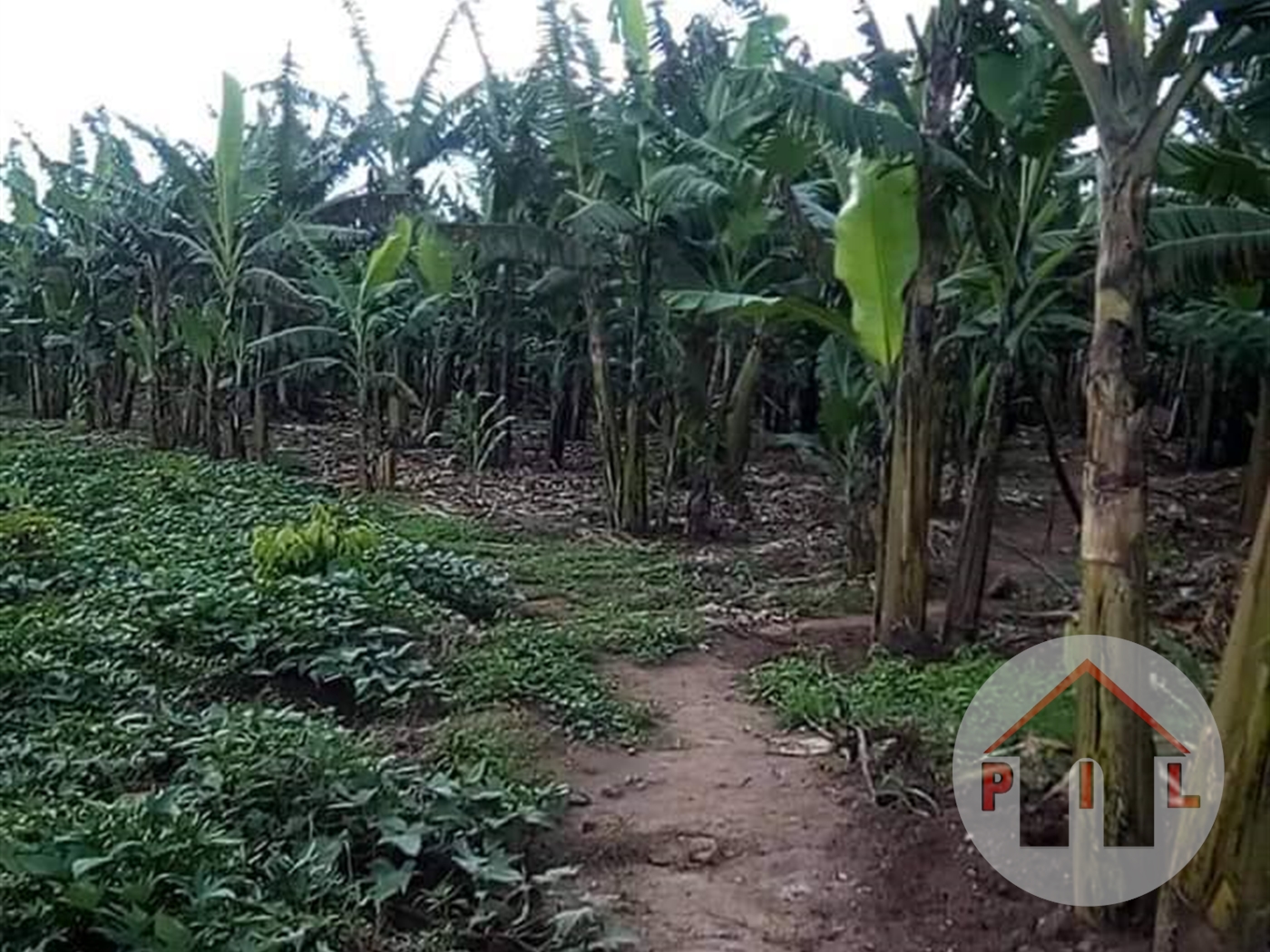 Agricultural Land for sale in Matugga Wakiso