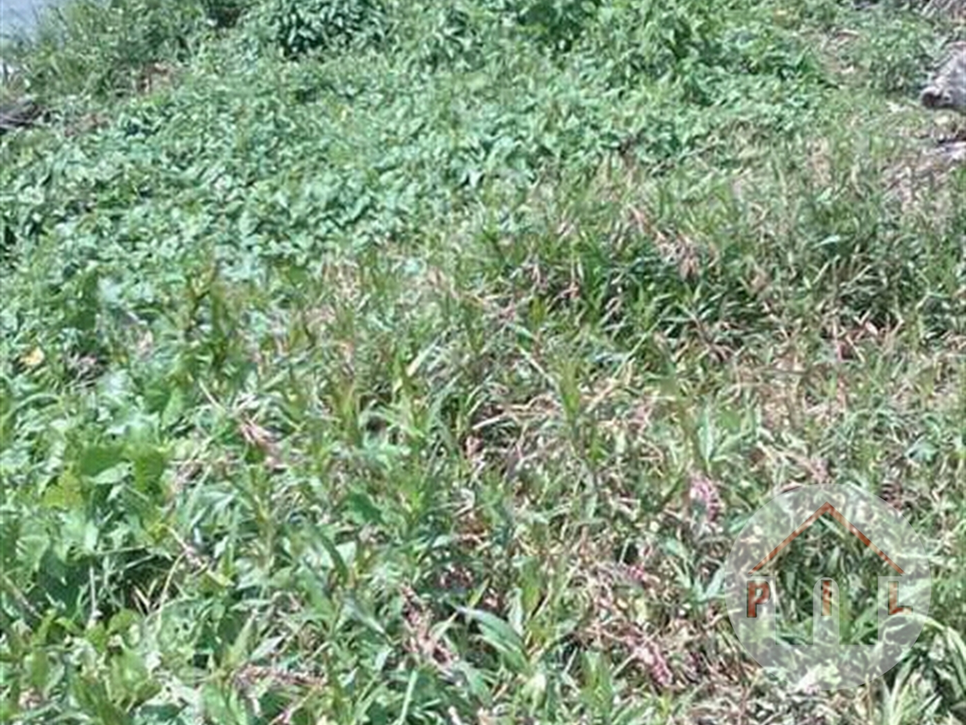 Residential Land for sale in Satelite Mukono