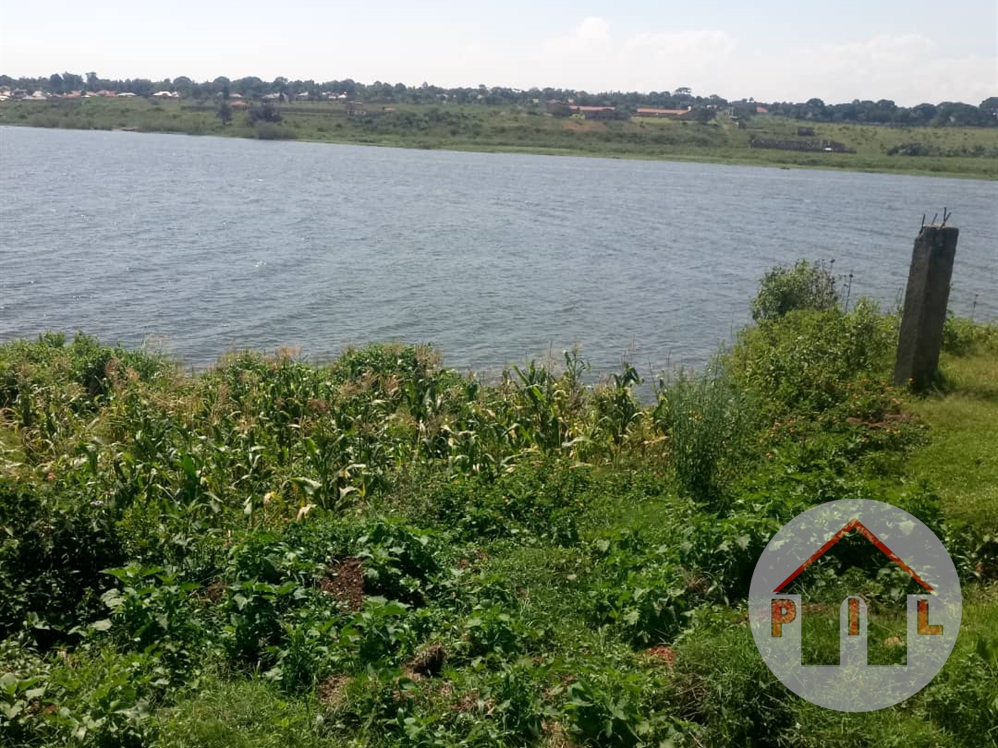 Residential Land for sale in Bukeelele Mukono