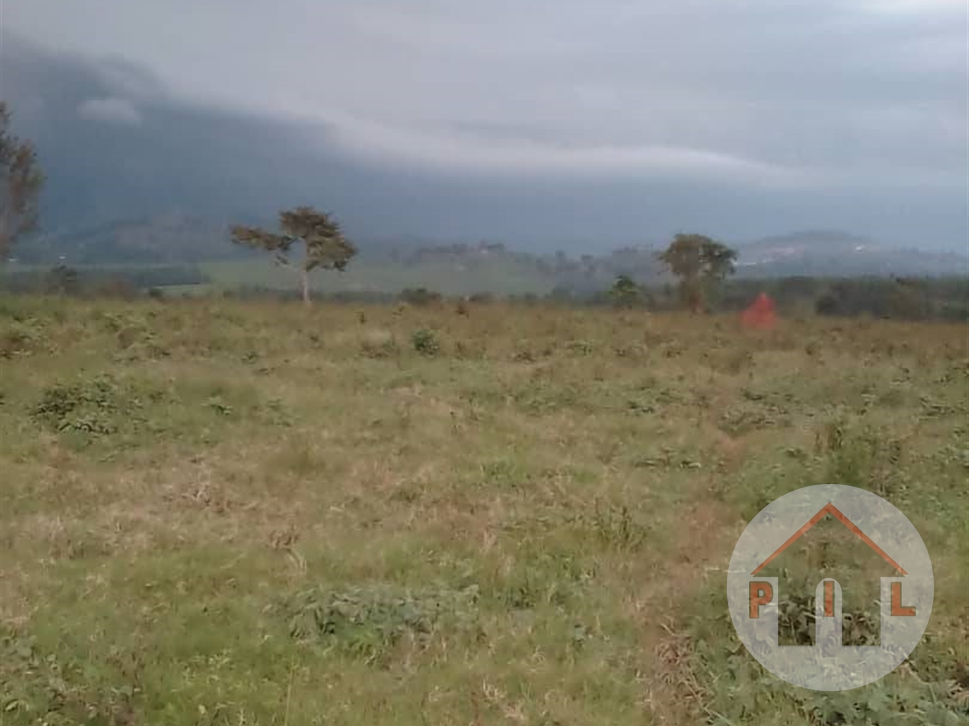 Residential Land for sale in Bukeelele Mukono