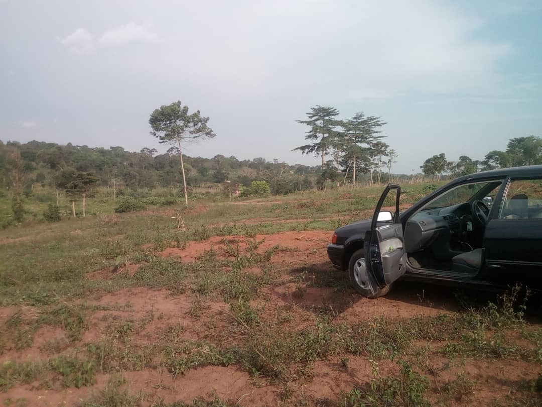 Residential Land for sale in Kitende Wakiso