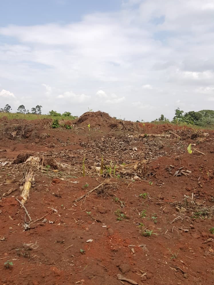 Residential Land for sale in Kitende Wakiso