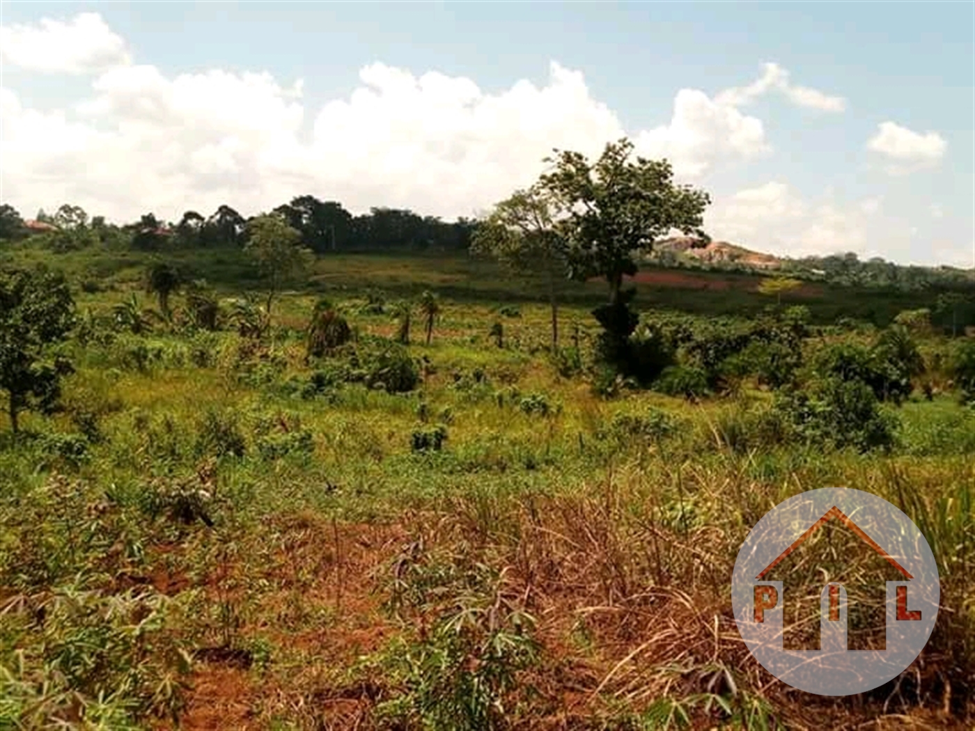 Agricultural Land for sale in Lukiizi Luweero