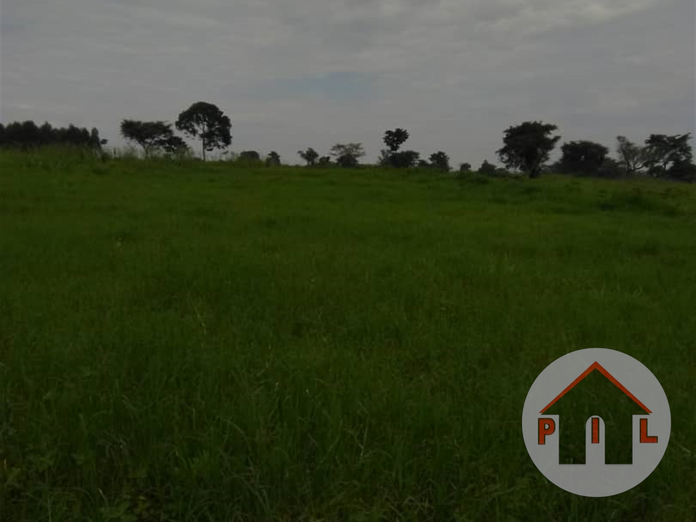 Agricultural Land for sale in Lukiizi Luweero