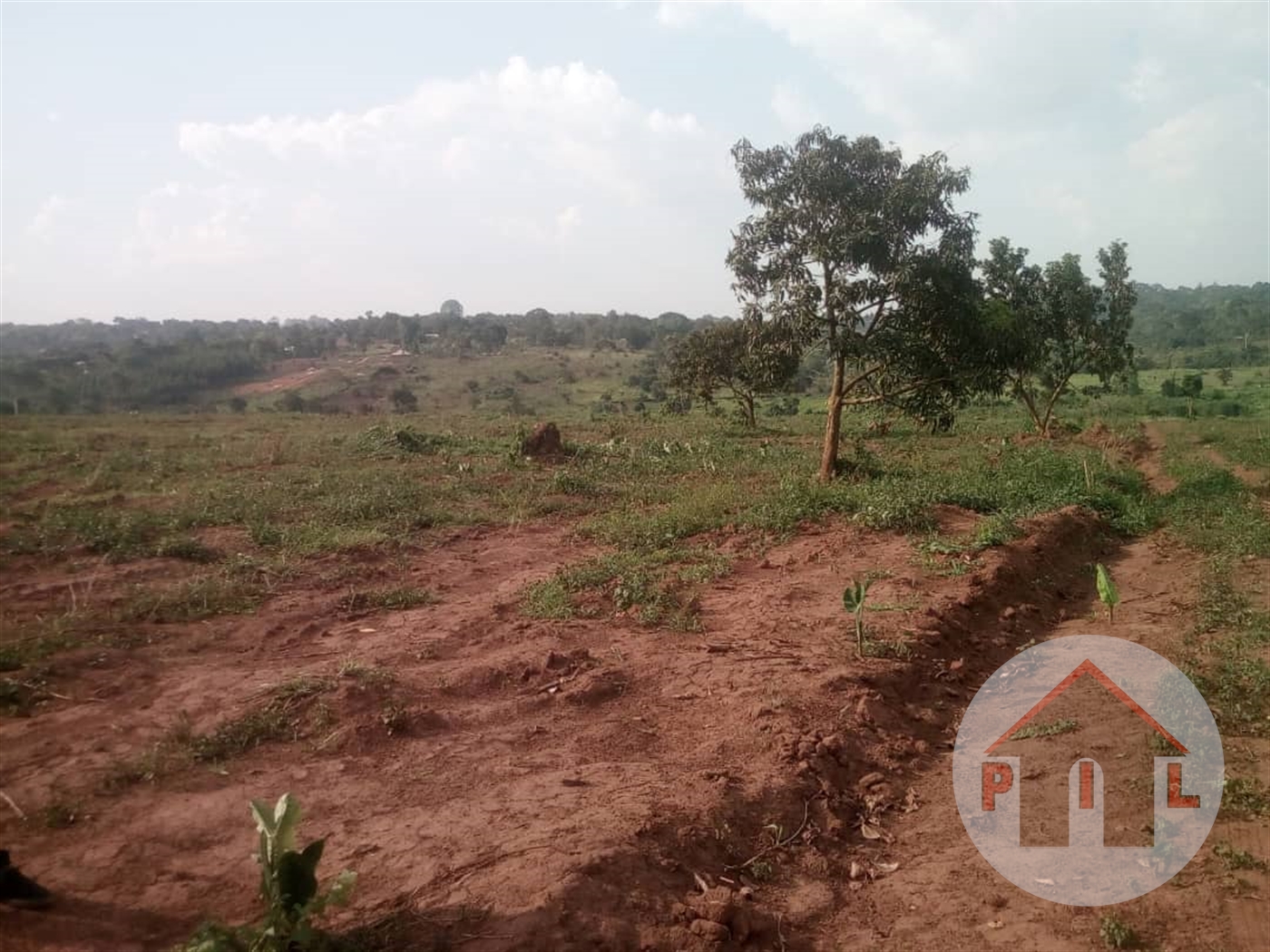 Agricultural Land for sale in Katikamu Luweero