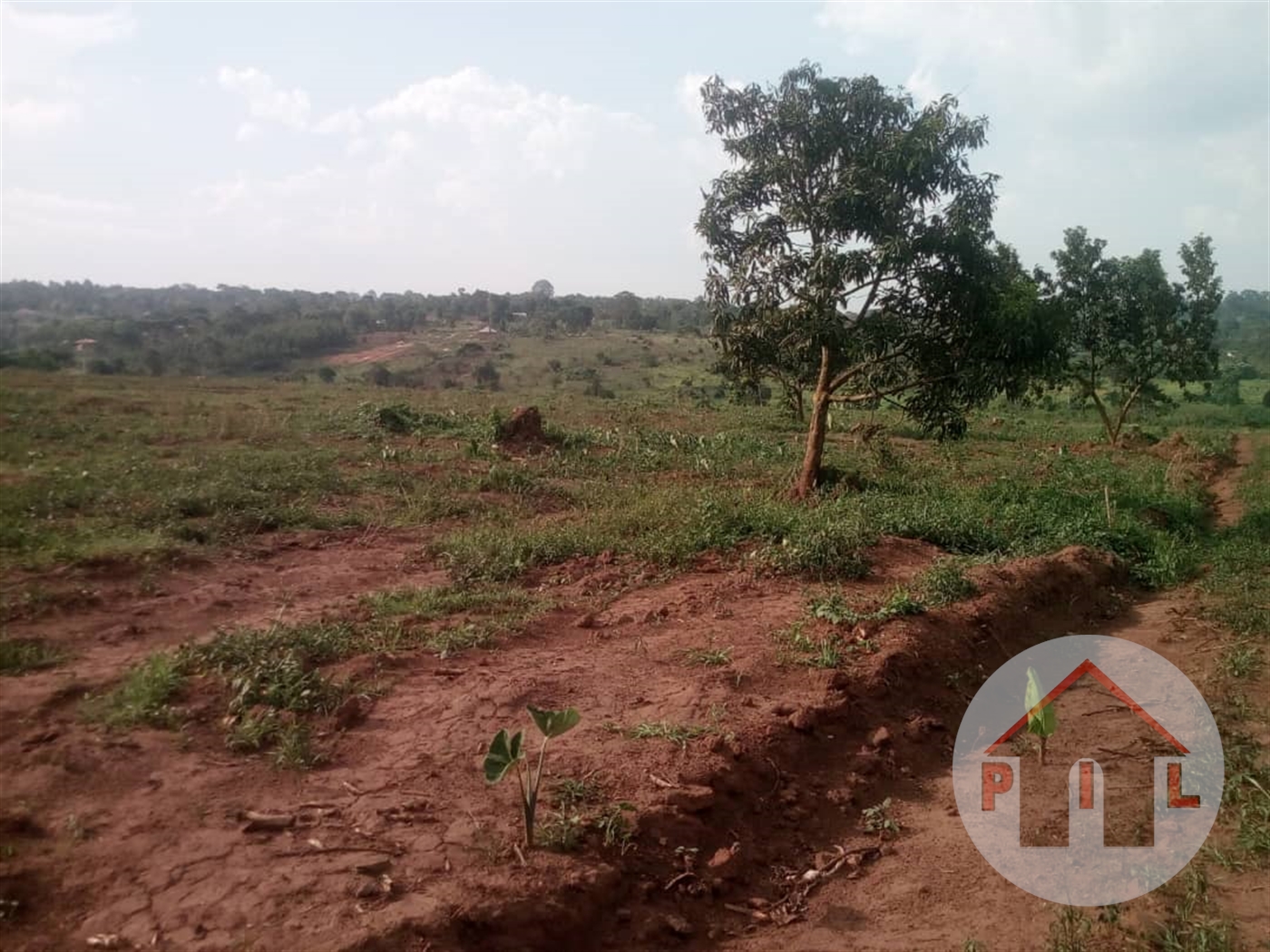 Agricultural Land for sale in Katikamu Luweero