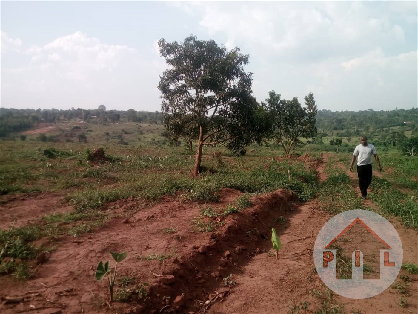 Agricultural Land for sale in Katikamu Luweero