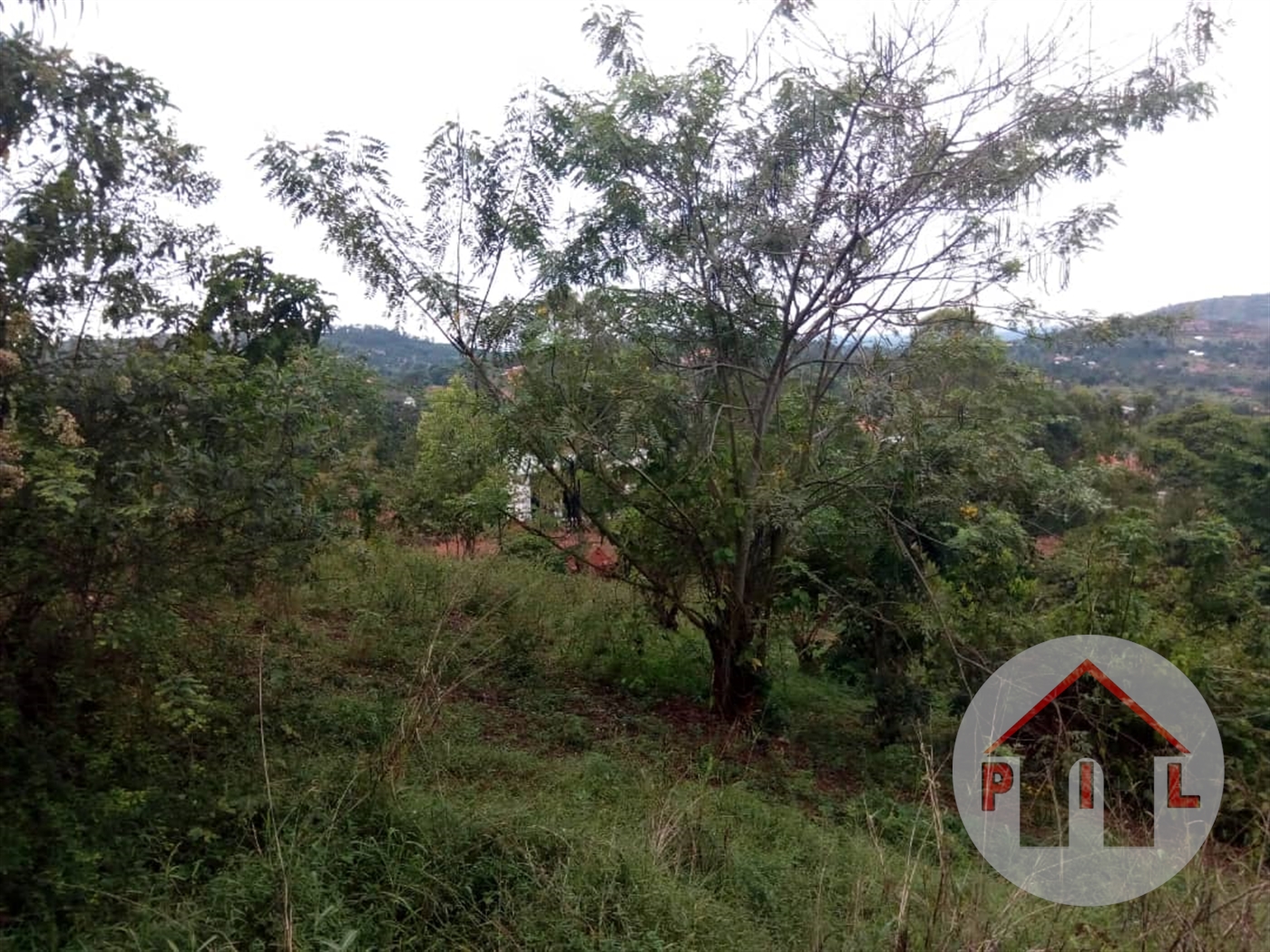 Agricultural Land for sale in Bukolwa Luweero