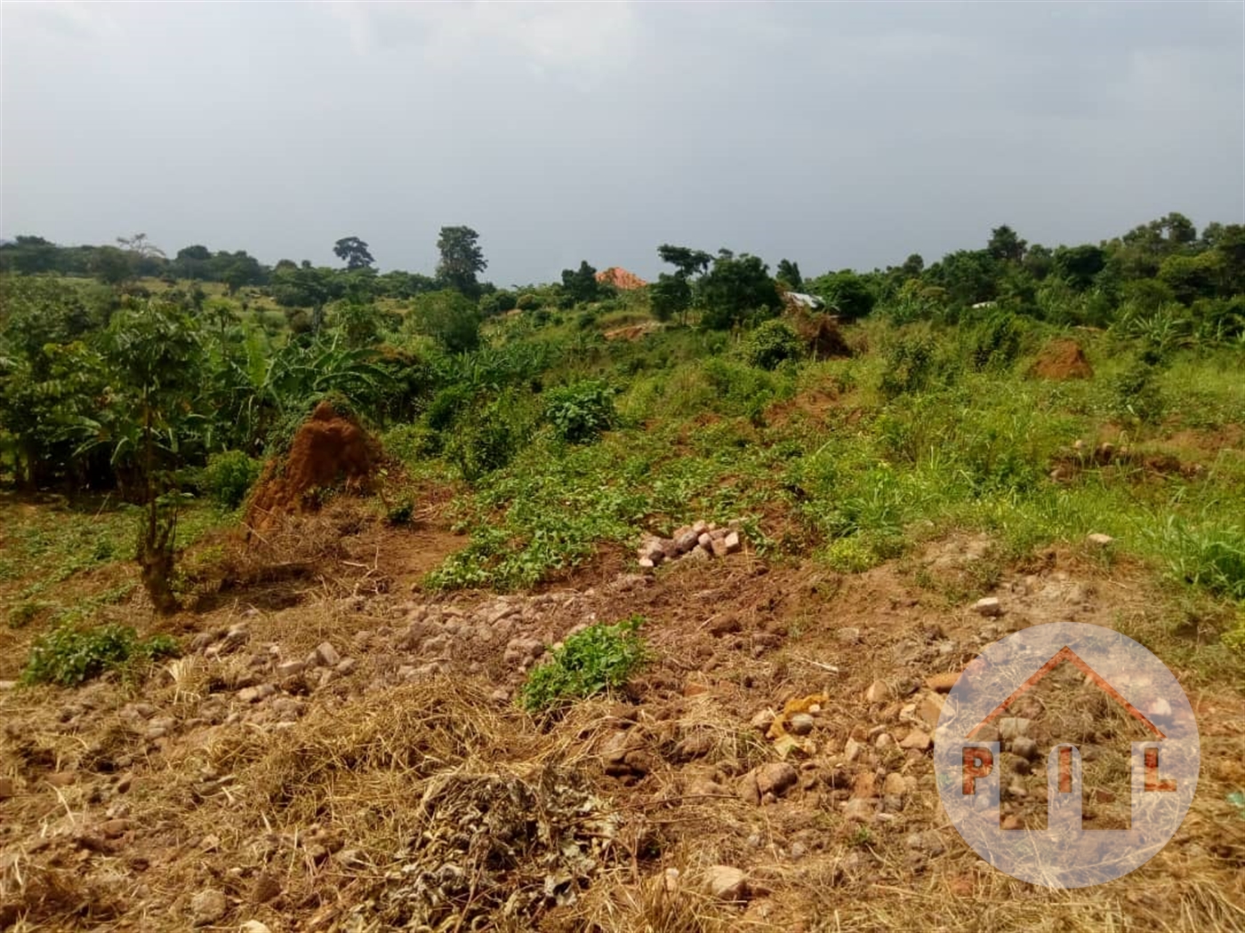 Agricultural Land for sale in Matugga Wakiso