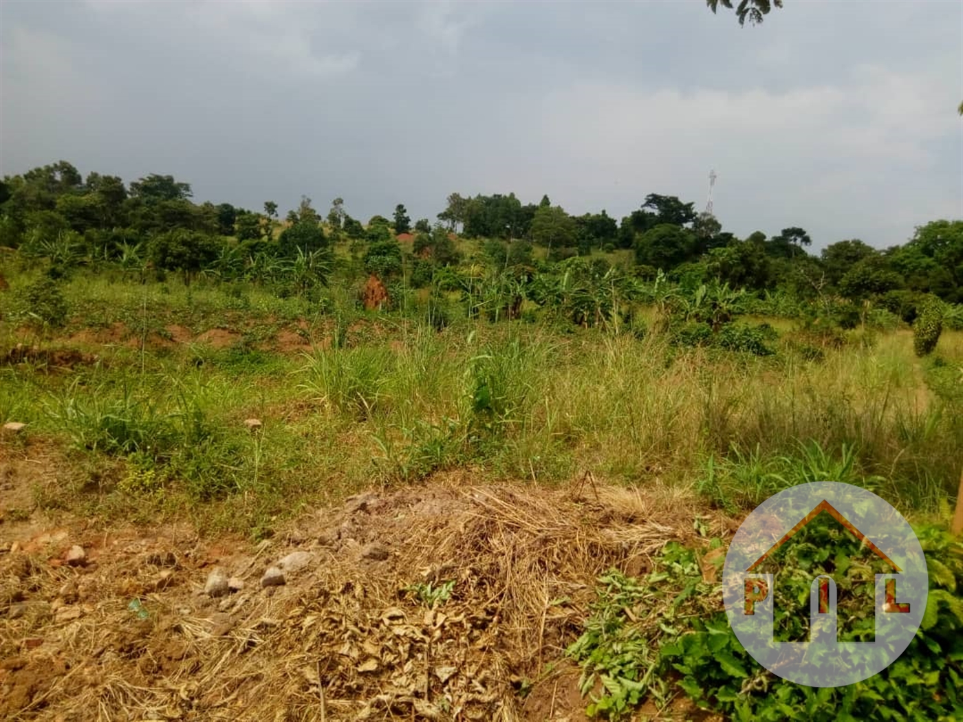 Agricultural Land for sale in Matugga Wakiso