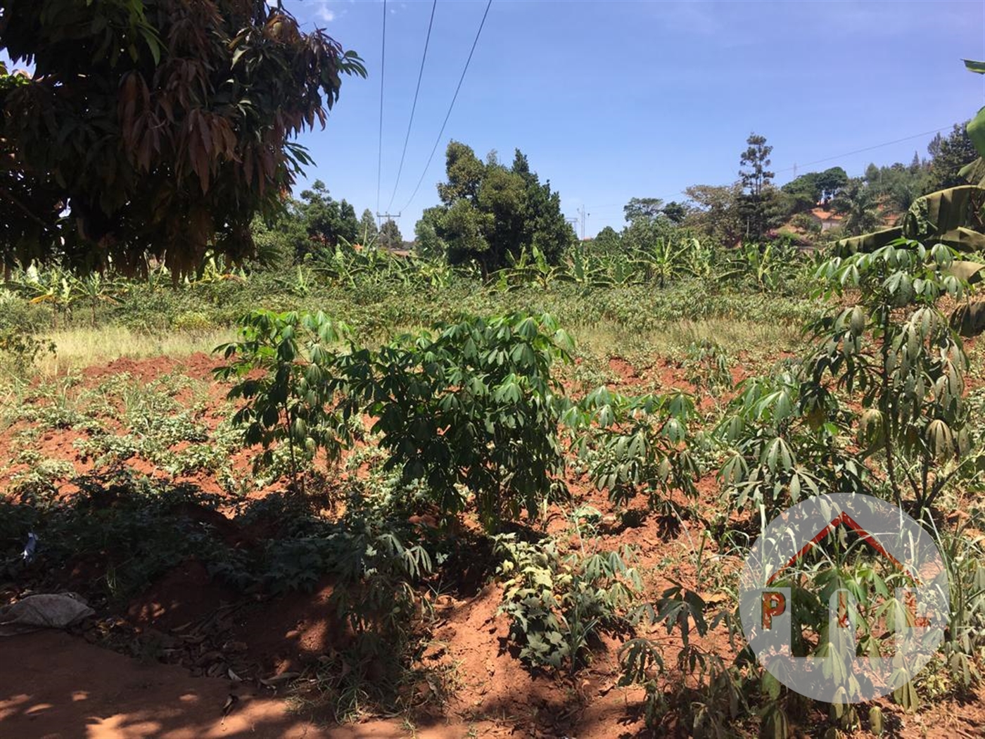 Agricultural Land for sale in Kisubi Wakiso