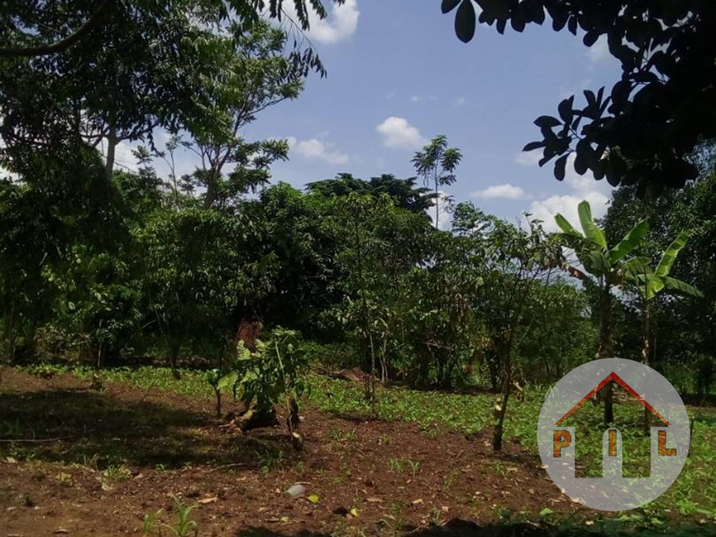 Agricultural Land for sale in Luweero Luweero