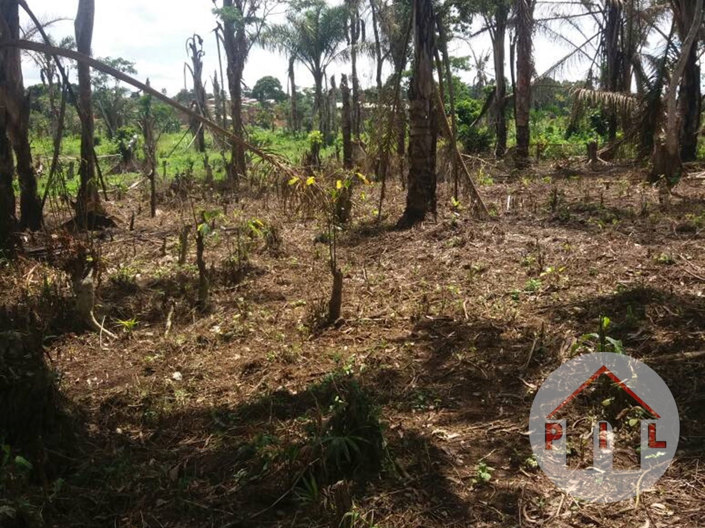 Agricultural Land for sale in Kisoga Mukono