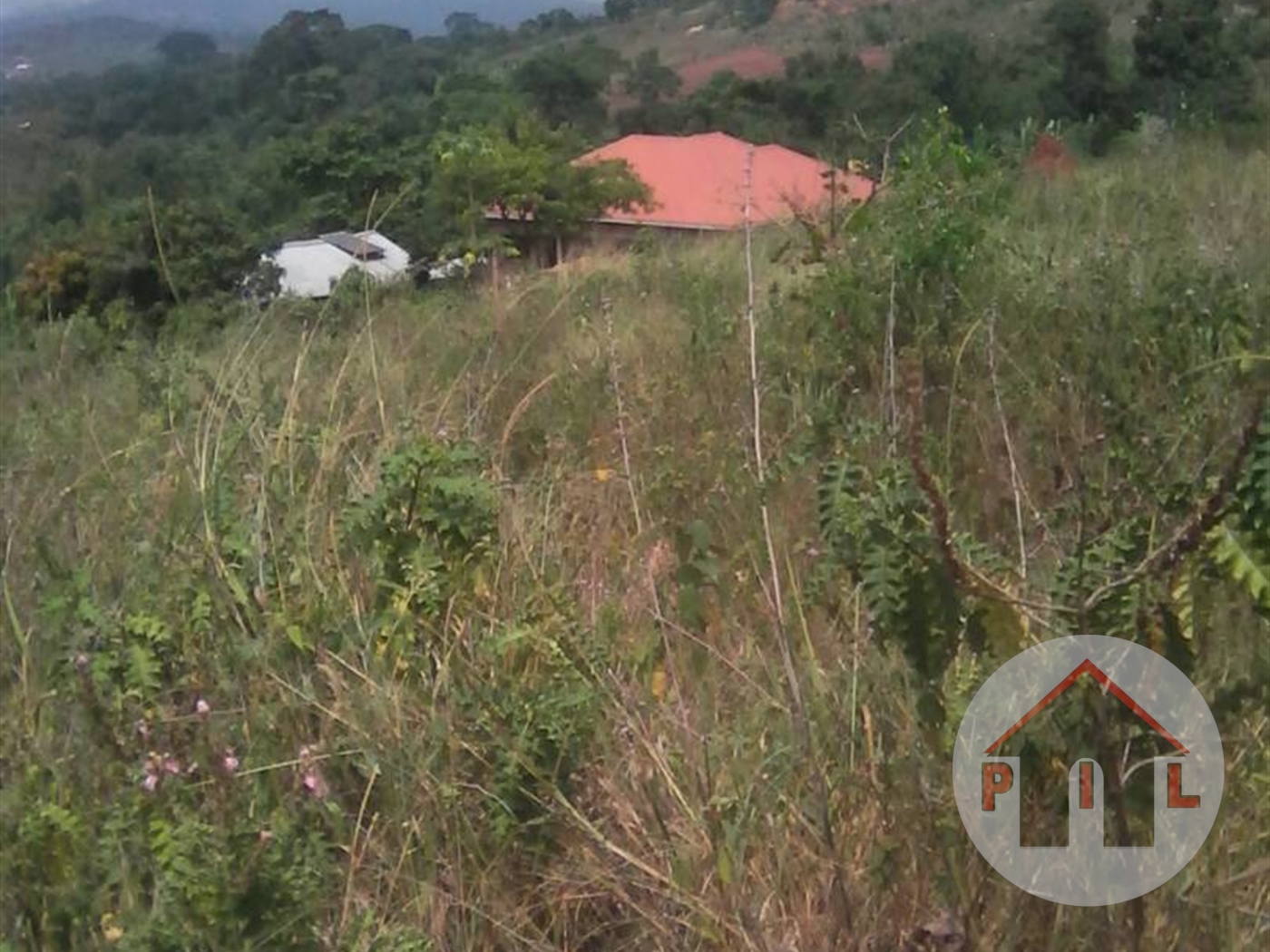 Residential Land for sale in Kajjansi Wakiso