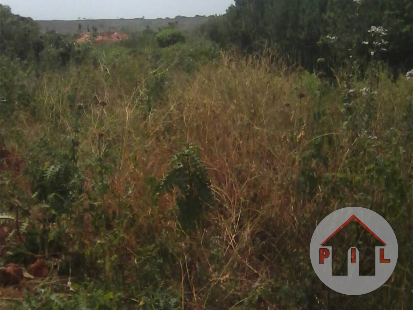 Residential Land for sale in Kajjansi Wakiso