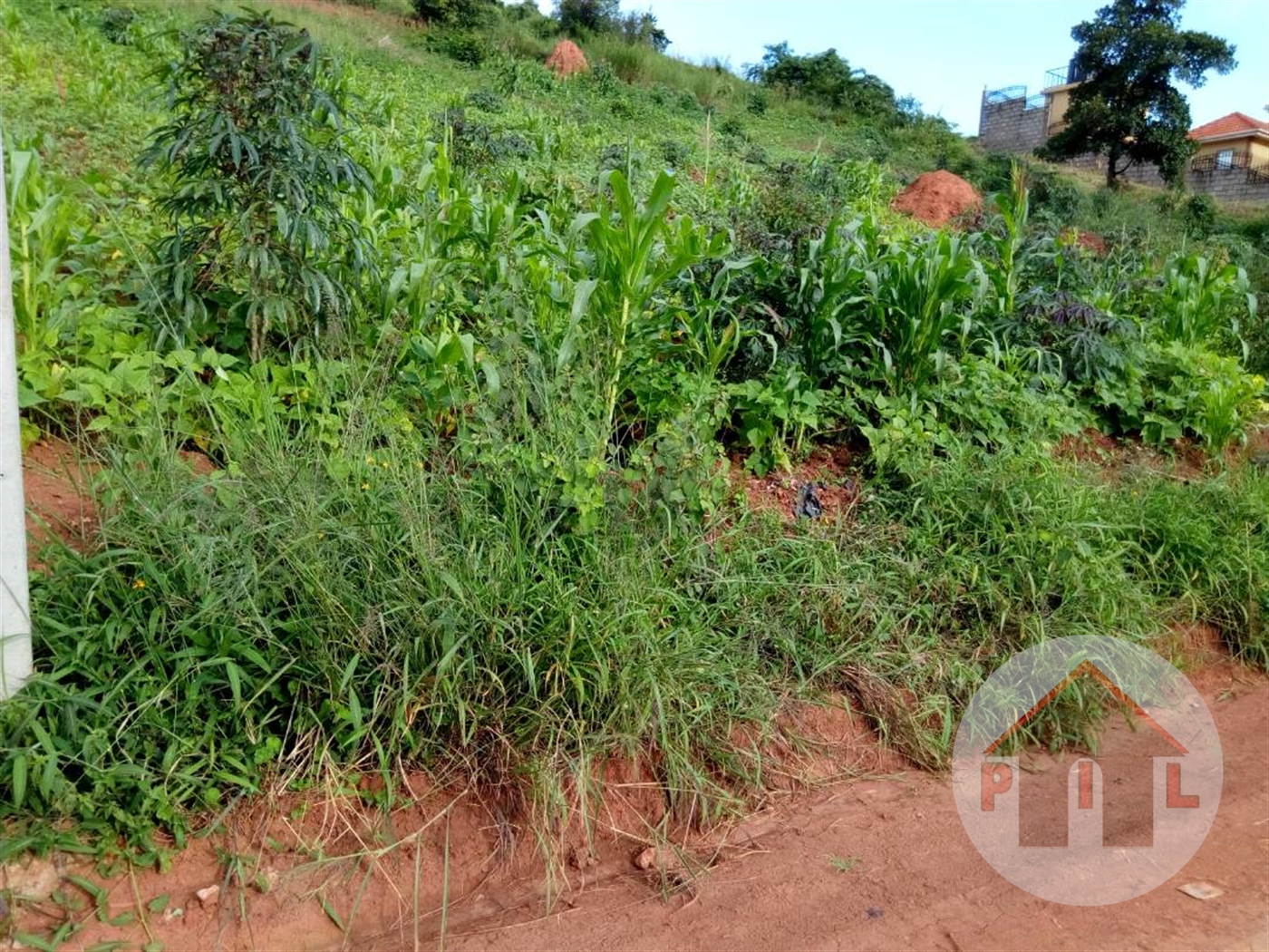 Agricultural Land for sale in Lubowa Wakiso