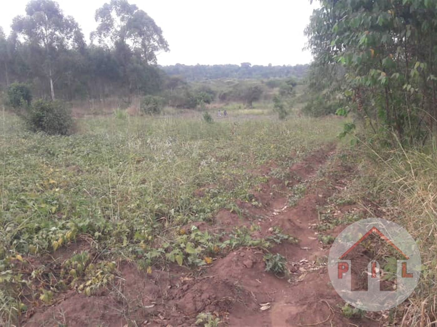 Agricultural Land for sale in Bulwaanyi Wakiso