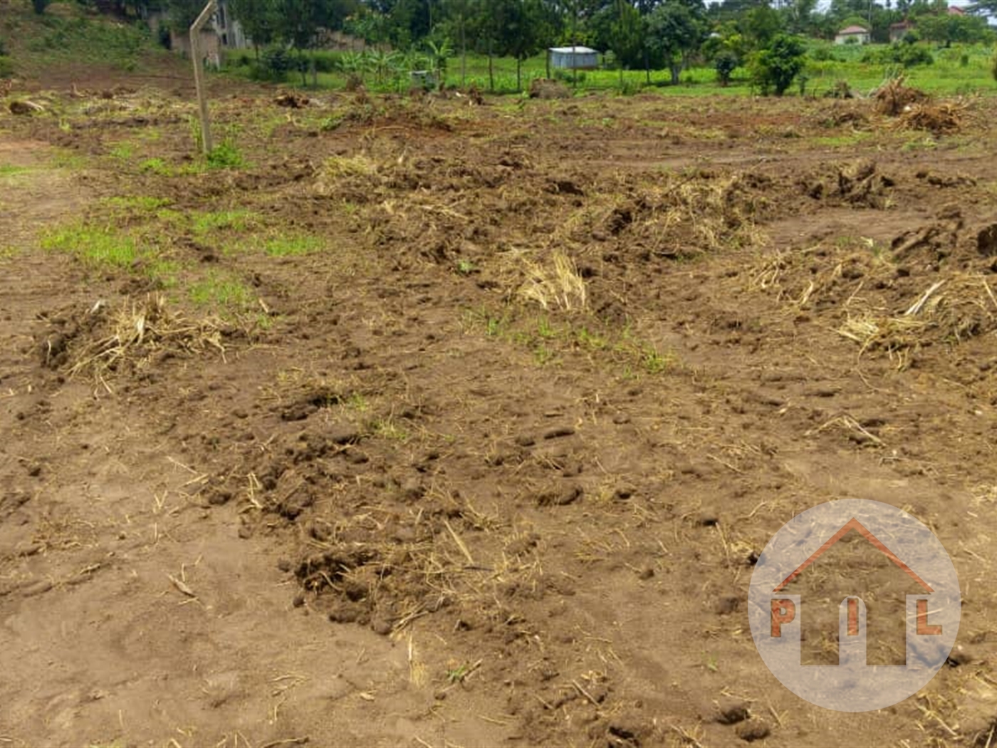 Agricultural Land for sale in Mityana Mityana