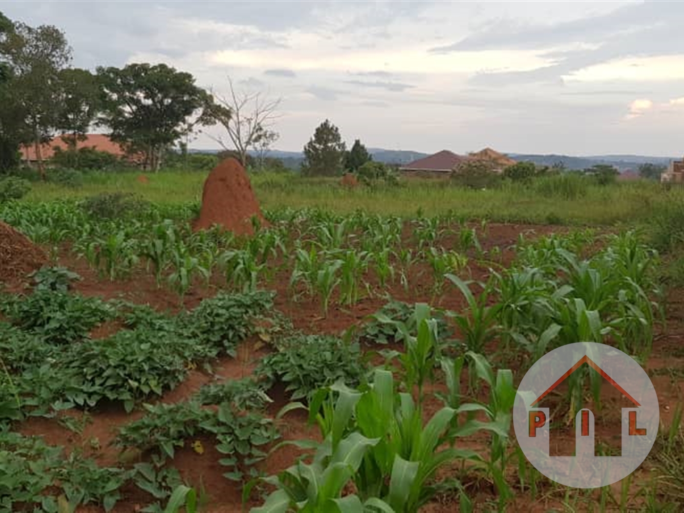 Residential Land for sale in Namayumba Wakiso