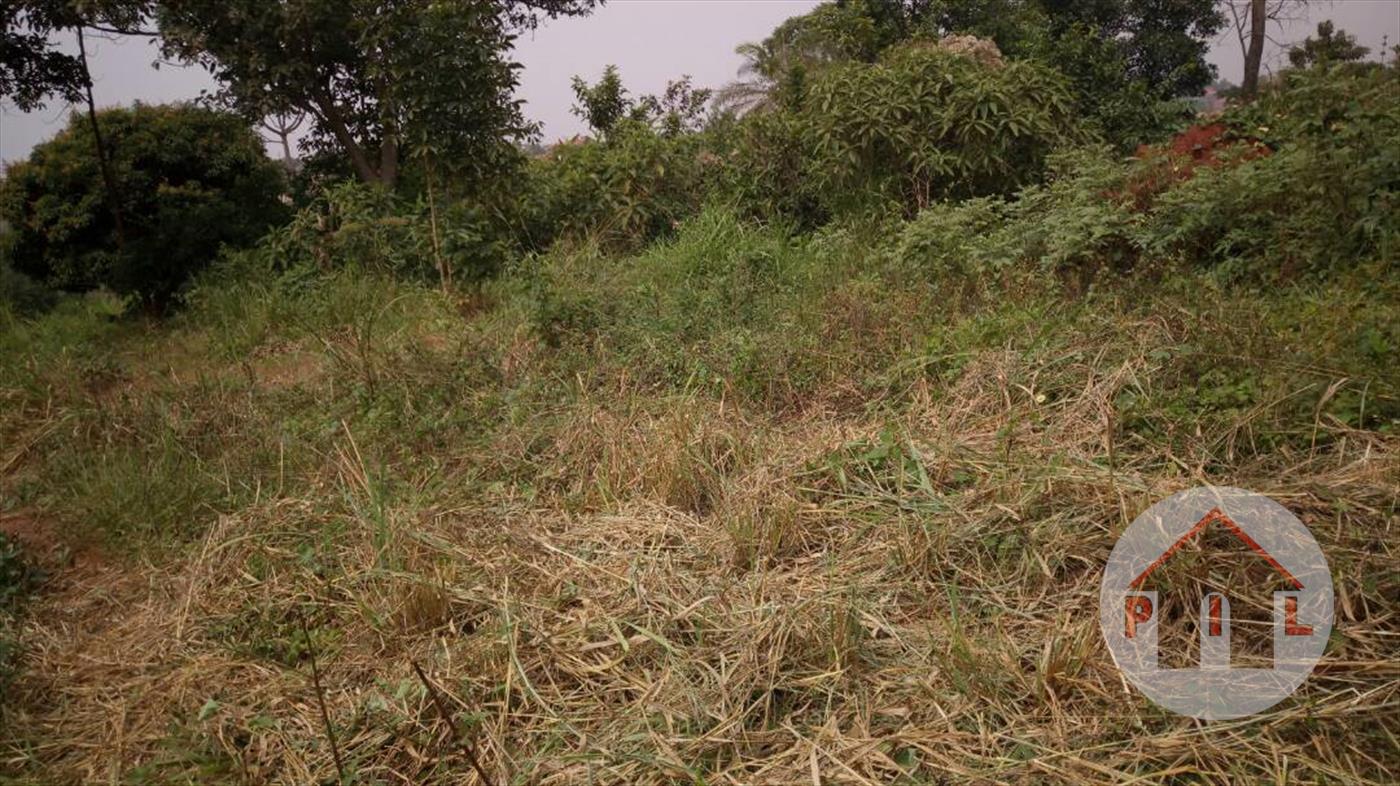 Residential Land for sale in Nakasanjja Wakiso