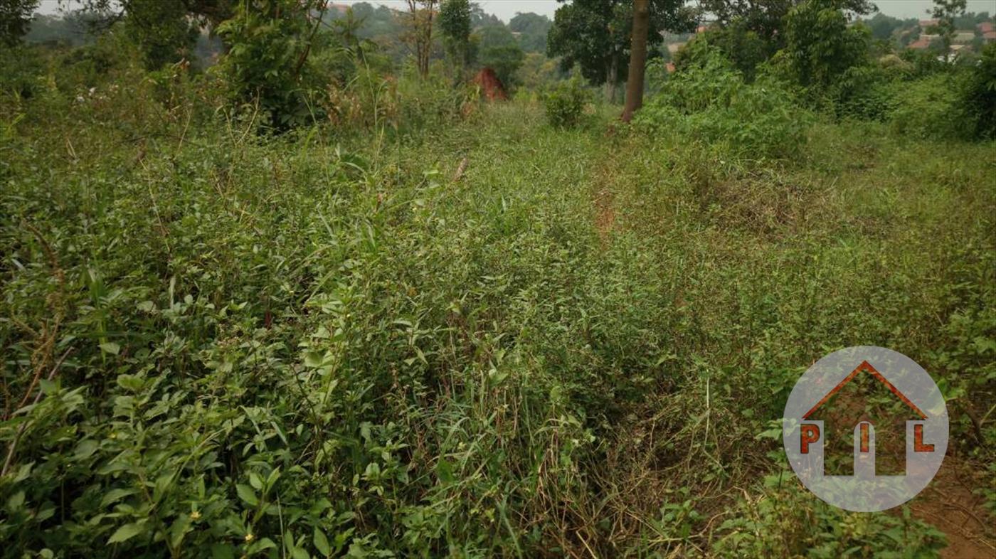 Residential Land for sale in Nakasanjja Wakiso